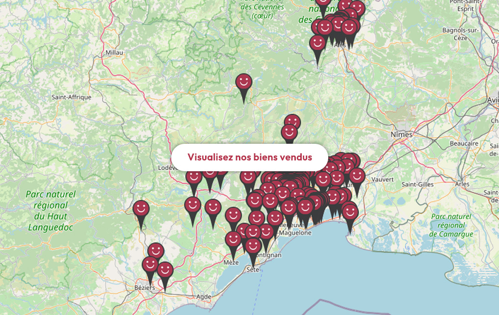 Carte des biens vendus